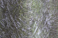 Buckskin fibreglass roof work