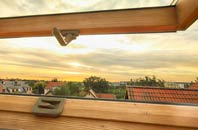rated Buckskin roof window companies